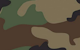 5.56 Mag Pouch - Woodland M81